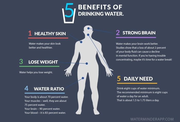 Benefits of drinking water for healthy eating