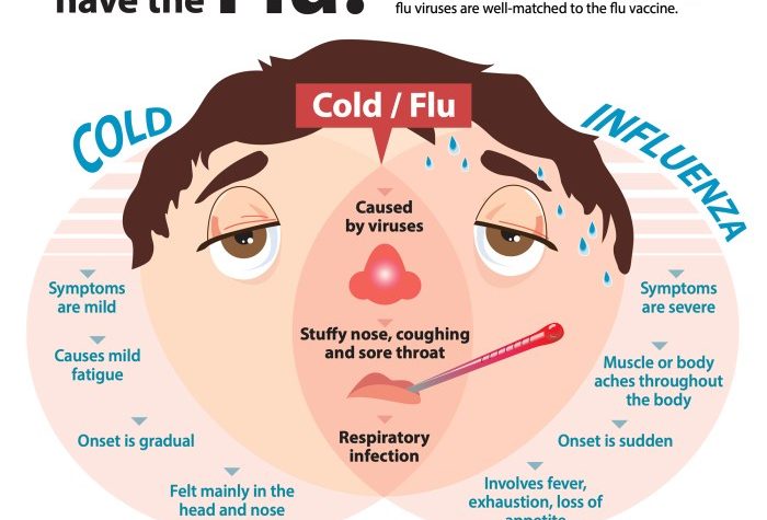Preventive care measures for flu and cold prevention