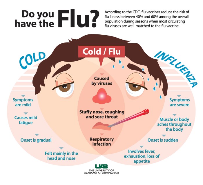 Preventive care measures for flu and cold prevention