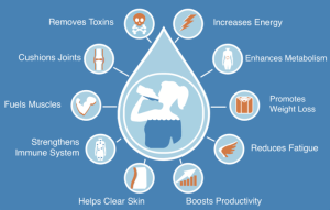 Importance of hydration for a healthy immune system