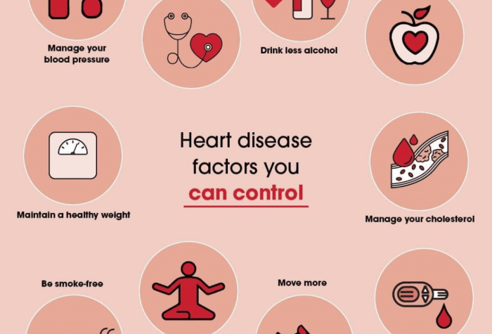 Preventive care tips for maintaining heart health