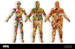 How to transition to a balanced diet from unhealthy eating habits